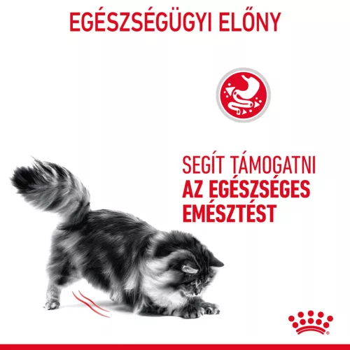 Royal Canin Feline Care Nutrition macska tasak Digestive Sensitive 12x85g