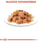 Royal Canin Feline Health Nutrition macska tasak adult Instinctive jelly 12x85g