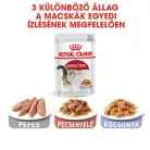 Royal Canin Feline Health Nutrition macska tasak adult Instinctive jelly 12x85g