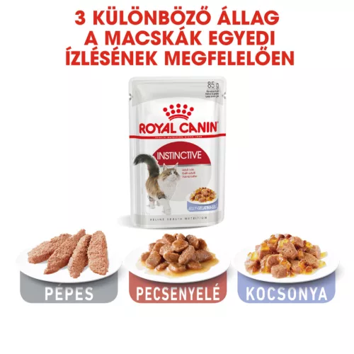 Royal Canin Feline Health Nutrition macska tasak adult Instinctive jelly 12x85g