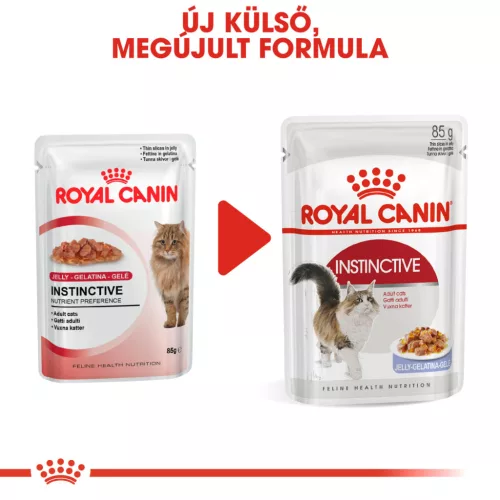 Royal Canin Feline Health Nutrition macska tasak adult Instinctive jelly 12x85g