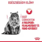 Royal Canin Feline Care Nutrition Dental Care száraz macskaeledel 400g