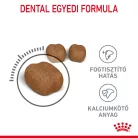 Royal Canin Feline Care Nutrition Dental Care száraz macskaeledel 400g