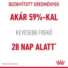 Royal Canin Feline Care Nutrition Dental Care száraz macskaeledel 400g