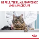 Royal Canin Feline Care Nutrition Dental Care száraz macskaeledel 400g