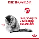 Royal Canin Feline Care Nutrition Hairball Care száraz macskaeledel 400g