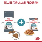 Royal Canin Feline Care Nutrition Hairball Care száraz macskaeledel 400g
