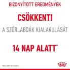 Royal Canin Feline Care Nutrition Hairball Care száraz macskaeledel 400g
