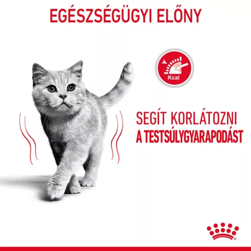 Royal Canin Feline Care Nutrition Light Weight Care száraz macskaeledel 400g