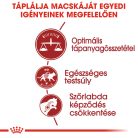 Royal Canin Feline Health Nutrition Regular Fit adult száraz macskaeledel 400g