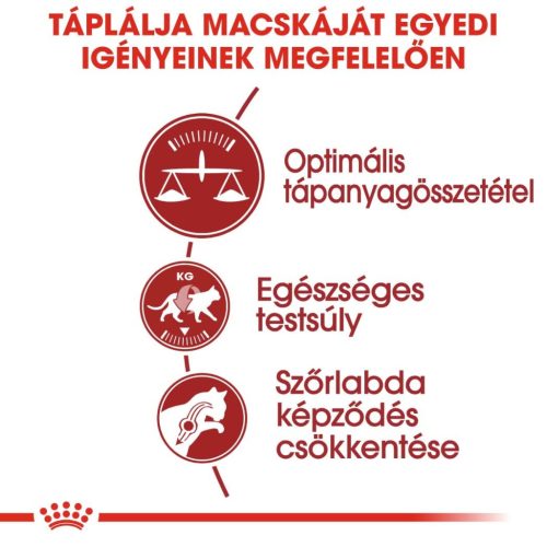 Royal Canin Feline Health Nutrition Regular Fit adult száraz macskaeledel 400g
