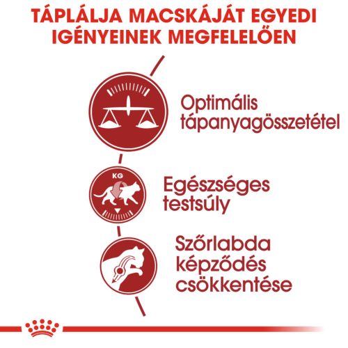 Royal Canin Feline Health Nutrition Regular Fit adult száraz macskaeledel 400g