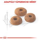 Royal Canin Feline Health Nutrition Regular Fit adult száraz macskaeledel 400g