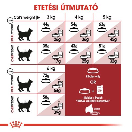 Royal Canin Feline Health Nutrition Regular Fit adult száraz macskaeledel 400g