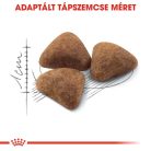Royal Canin Feline Health Nutrition Indoor 27 száraz macskaeledel 400g