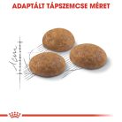 Royal Canin Feline Health Nutrition Outdoor 30 száraz macskaeledel 400g