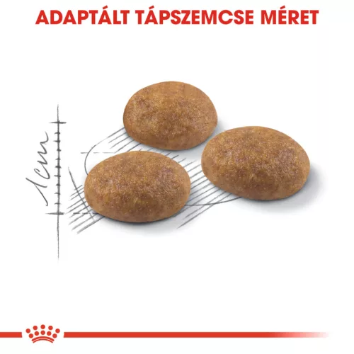 Royal Canin Feline Health Nutrition Outdoor 30 száraz macskaeledel 400g