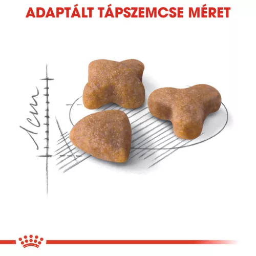 Royal Canin Feline Health Nutrition Sensible 33 száraz macskaeledel 400g