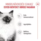 Royal Canin Feline Health Nutrition Kitten száraz macskaeledel 400g
