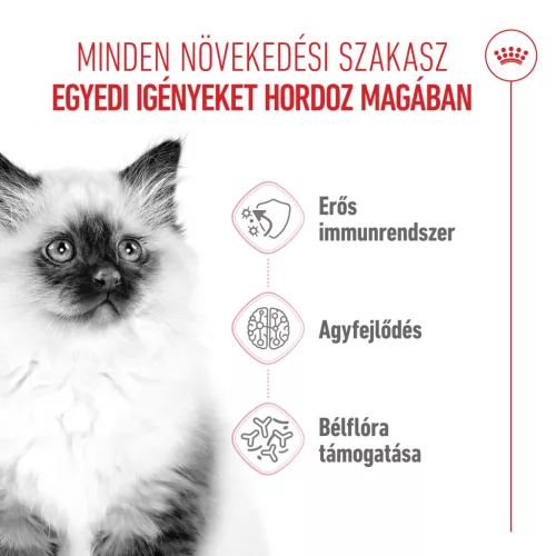 Royal Canin Feline Health Nutrition Kitten száraz macskaeledel 400g