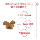 Royal Canin Feline Health Nutrition Kitten száraz macskaeledel 400g