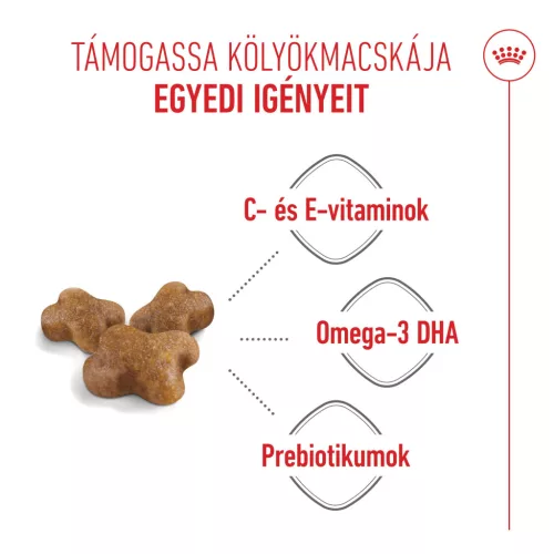 Royal Canin Feline Health Nutrition Kitten száraz macskaeledel 400g