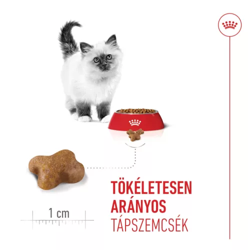 Royal Canin Feline Health Nutrition Kitten száraz macskaeledel 400g