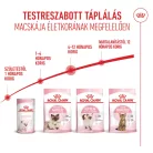 Royal Canin Feline Health Nutrition Kitten száraz macskaeledel 400g