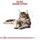 Royal Canin Feline Breed Nutrition Maine Coon adult száraz macskaeledel 400g