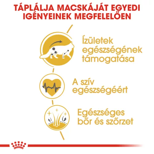 Royal Canin Feline Breed Nutrition Maine Coon adult száraz macskaeledel 400g