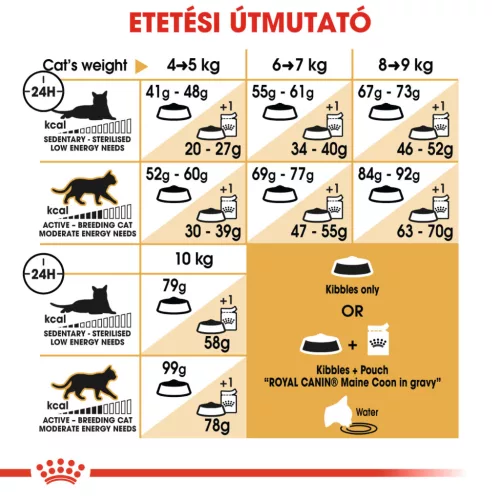 Royal Canin Feline Breed Nutrition Maine Coon adult száraz macskaeledel 400g