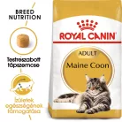 Royal Canin Feline Breed Nutrition Maine Coon adult száraz macskaeledel 400g
