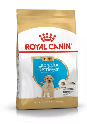 Royal Canin Breed Health Nutrition Labrador Retriever száraz kutyaeledel puppy 3kg
