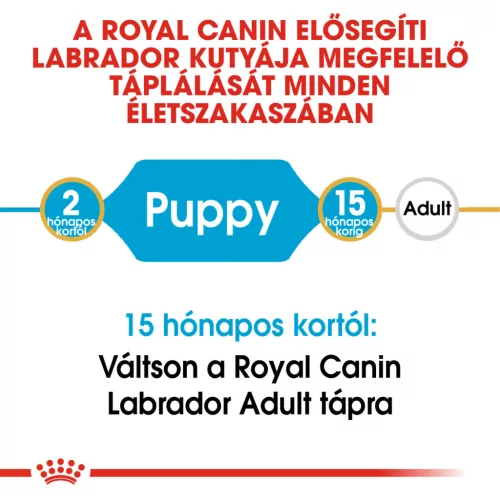 Royal Canin Breed Health Nutrition Labrador Retriever száraz kutyaeledel puppy 3kg