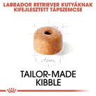 Royal Canin Breed Health Nutrition Labrador retriever száraz kutyaeledel puppy 3kg