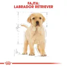 Royal Canin Breed Health Nutrition Labrador Retriever száraz kutyaeledel puppy 3kg