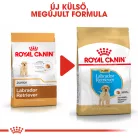 Royal Canin Breed Health Nutrition Labrador Retriever száraz kutyaeledel puppy 3kg