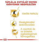 Royal Canin Breed Health Nutrition Beagle adult száraz kutyaeledel 3kg