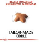 Royal Canin Breed Health Nutrition Beagle adult száraz kutyaeledel 3kg