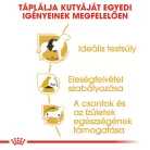 Royal Canin Breed Health Nutrition Beagle adult száraz kutyaeledel 3kg