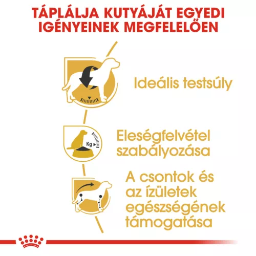 Royal Canin Breed Health Nutrition Beagle adult száraz kutyaeledel 3kg
