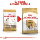 Royal Canin Breed Health Nutrition Beagle adult száraz kutyaeledel 3kg