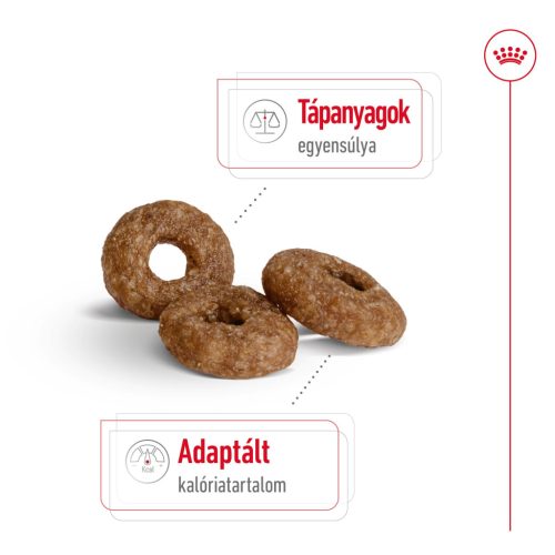 Royal Canin Size Health Nutrition Mini Ageing 12+ száraz kutyaeledel 1,5kg