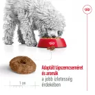 Royal Canin Size Health Nutrition Mini Ageing 12+ száraz kutyaeledel 1,5kg