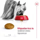 Royal Canin Size Health Nutrition X-Small száraz kutyaeledel adult 500g