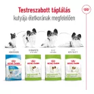 Royal Canin Size Health Nutrition X-Small száraz kutyaeledel adult 500g