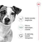 Royal Canin Size Health Nutrition Mini adult száraz kutyaeledel 8kg