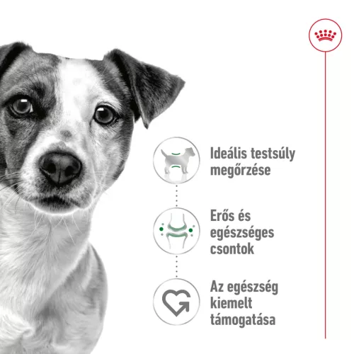Royal Canin Size Health Nutrition Mini adult száraz kutyaeledel 8kg