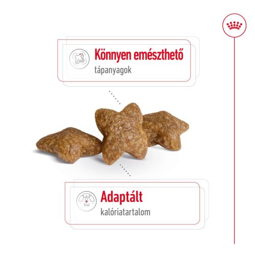 Royal Canin Size Health Nutrition Mini adult száraz kutyaeledel 8kg
