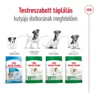 Royal Canin Size Health Nutrition Mini adult száraz kutyaeledel 8kg